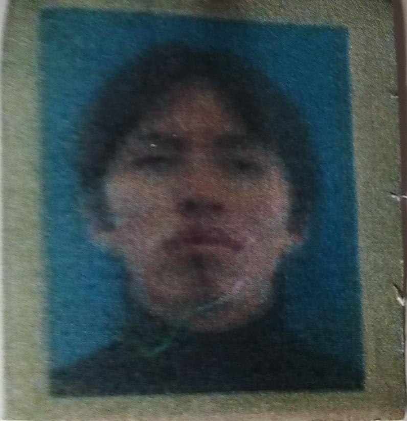 User Image
