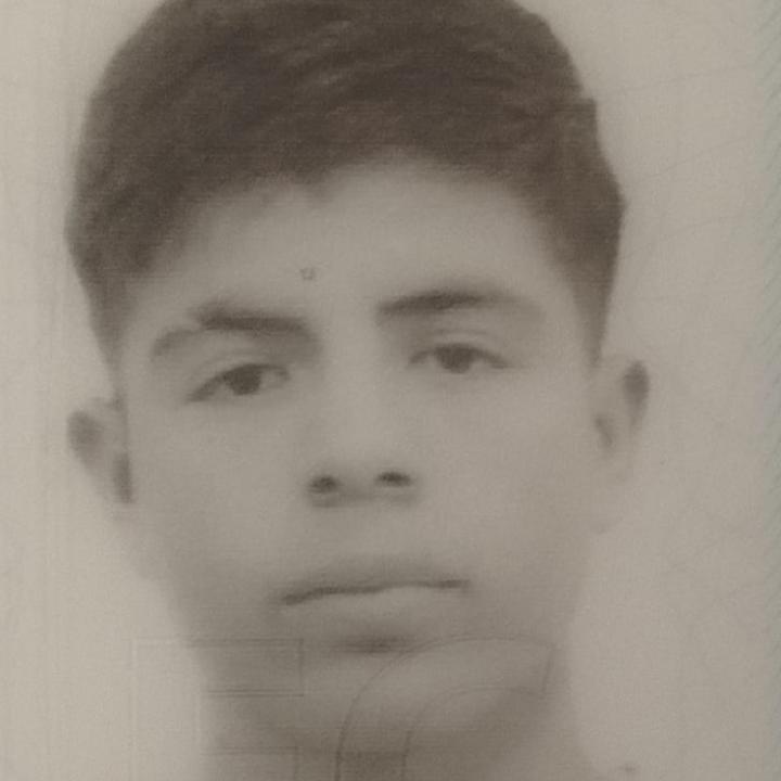 User Image