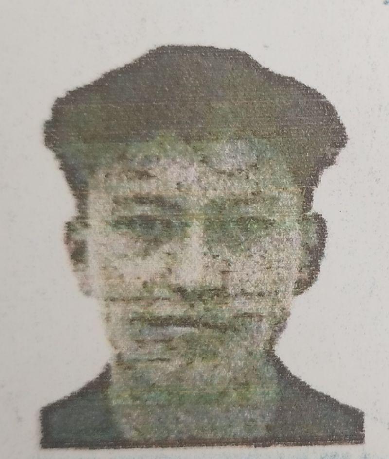 User Image