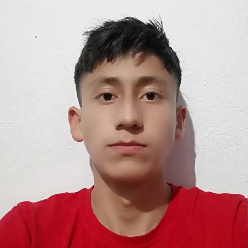 User Image