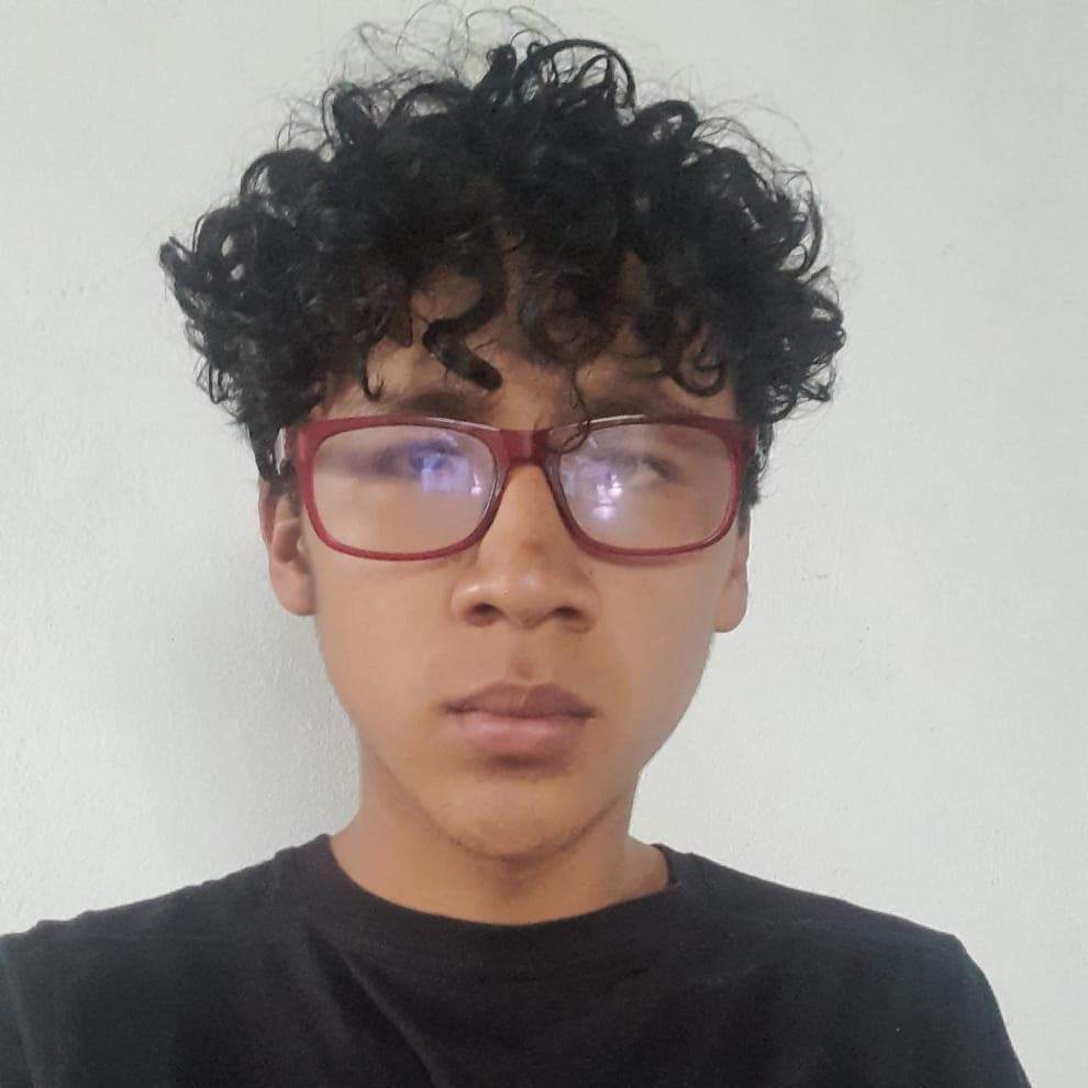 User Image