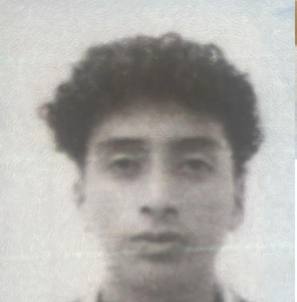 User Image