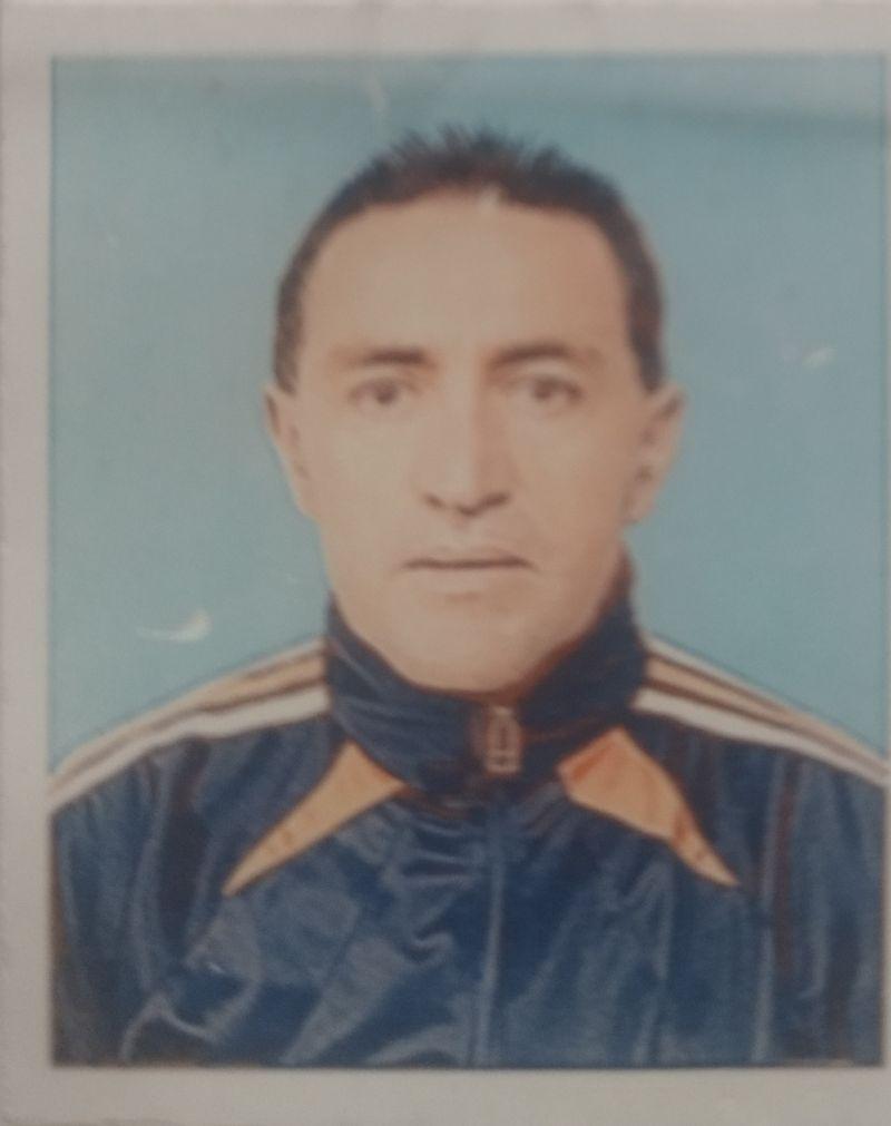 User Image